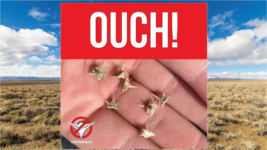 Goat Heads Are Ruining Your Life!